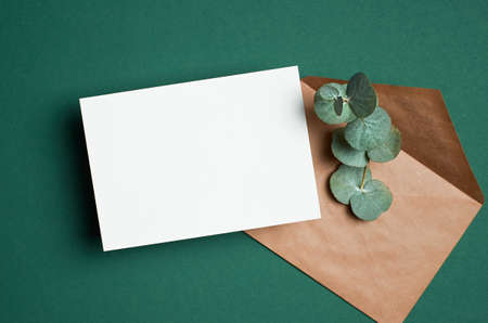 Wedding invitation or greeting card mockup with envelope and eucalyptus twig decoration.の写真素材