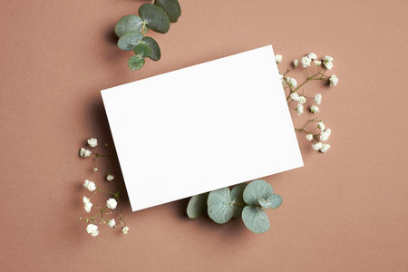 Invitation or greeting card mockup with eucalyptus and white gypsophila flower on beige paper background.の写真素材
