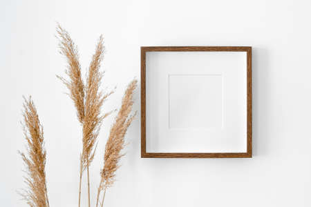 Blank square frame with passepartout mockup on white wall with dry plant decorations. Minimalistics...