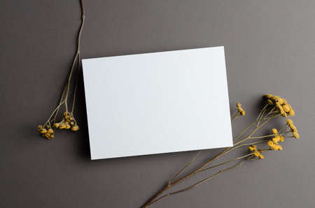 Wedding invitation card mockup with dry flowers twigs on greyの写真素材