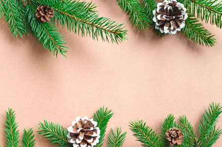 Christmas background with green fir tree branches with cones and copy space on beige