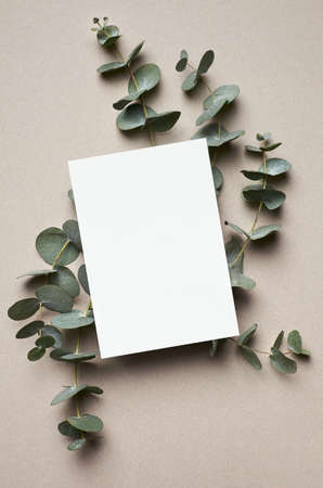 Greeting or wedding invitation card mockup with natural eucalyptus twigs. Empty card with copy space.の写真素材