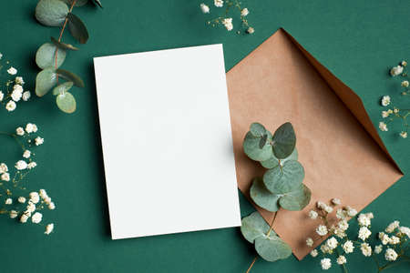 Wedding invitation or greeting card mockup, flat lay with envelope, eucalyptus and gypsophila flowers on green paper background.の写真素材