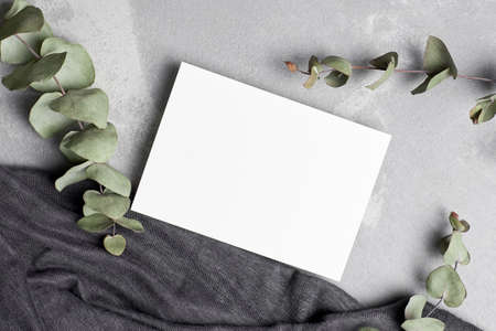 Greeting or invitation card mockup with natural dry eucalyptus twigsの写真素材