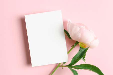 Greeting card mockup with pink peony flowers, blank mockup for card design presentationの写真素材