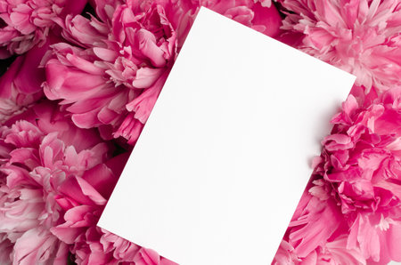 Blank invitation card mockup with pink peony flowers petals, floral card mockupの写真素材