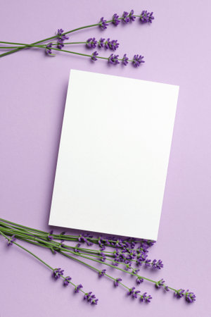 Paper greeting card mockup with lavender flowers, top view, copy spaceの写真素材
