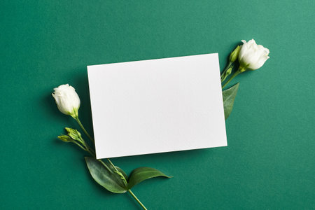 Invitation or greeting card mockup with white eustoma flowers on greenの写真素材