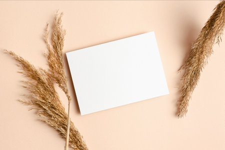 Wedding invitation or greeting card mockup with dry plant decorations on beige paper backgroundの写真素材
