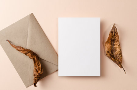 Invitation or greeting card mockup with envelope and nature decorationsの写真素材