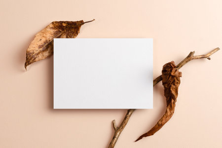 Greeting or invitation card mockup with nature decorations on beige background, copy spaceの写真素材
