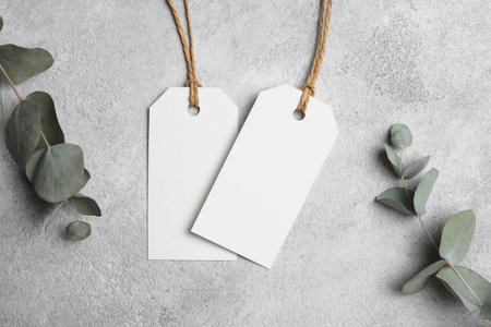 Blank price tags and eucalyptus branches on grey background, white tag cards with copy spaceの写真素材