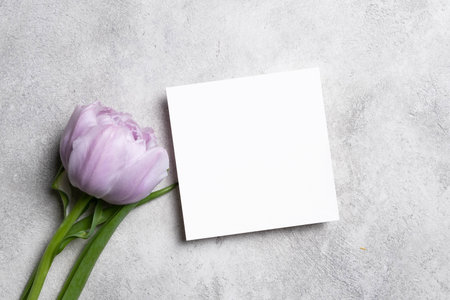 Blank square invitation or greeting card mockup with tulips flowers, paper flyer card with copy...