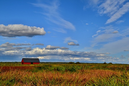 Aloneの写真素材