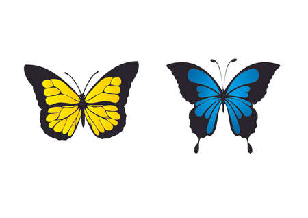 Yellow and blue butterflyのイラスト素材