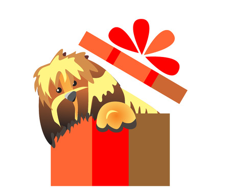 Puppy surprise. Dog in a gift boxのイラスト素材