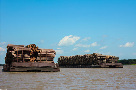 Large rafts loaded with logs. Transportation of industrial timber along the river. Delivery of forest raw materials. Sunny summer day.の写真素材
