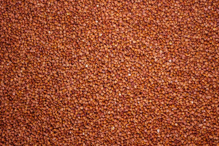 Background of brown grains of buckwheat. Smooth surface, texture.の写真素材