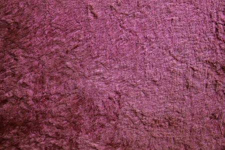 Old, burnt plush. Crushed pile of pink color. Incomplete coating, soft texture. A vintage thing.の写真素材