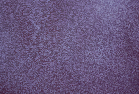 The product, clothes made from natural pork skin. Even lilac coloring, thin dressing. Smooth uniform surface without pattern.の写真素材