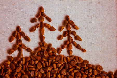 The picture is made of pine nuts. Light base, brown tint. Three fir trees on the mountain.の写真素材
