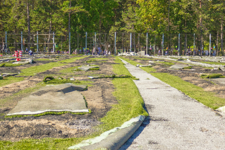 On the sports ground, a court in the city park is removed from the green. End of the season, replacing an artificial lawn, grass. Solar lighting.の写真素材