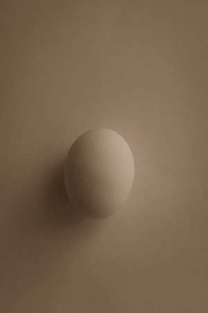 The white egg merges with the light background. Do not complicate things, everything is simple in life. Vertical arrangement, vintage toning, copy space.の写真素材