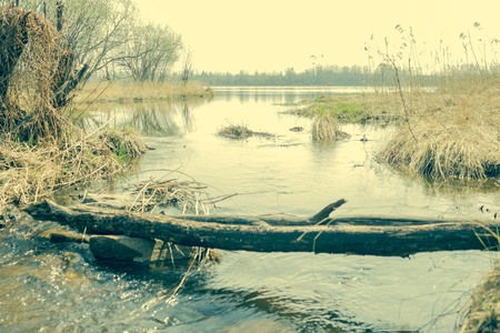 Nature, a quiet backwater, a countryside landscape. Homemade bridge of logs, dry grass on the shores...