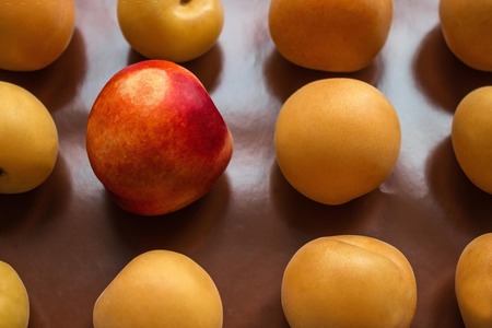 One red apricot is among the yellow ones. Brightness, individuality, unlike others. Macro...