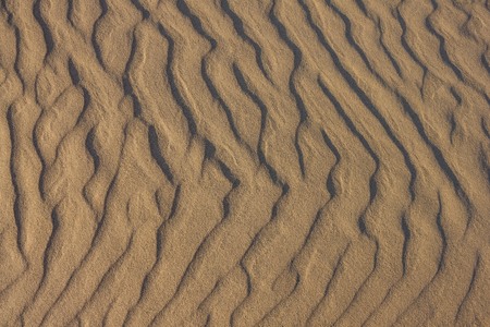 Sandy surface, fancy ornament, wavy lines. Top view, evening side lighting.