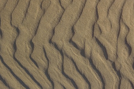 Sand texture, surface with sand dunes. Brown, gray tones. Side lighting.