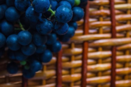 Grapes in the village, vineyard, viticulture. Dark grapes on a wooden, brown surface. The background...