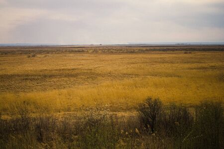 Dry yellow grass, a large field, open space. In the foreground bushes with bare branches. Spring in the countryside. Vignettingの写真素材
