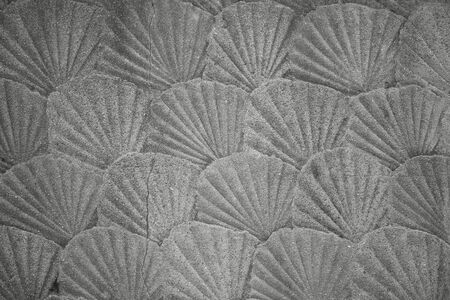 Gray background, shells, a symbol of the path of Santiago in Spain. Old concrete, cracks. In black and white.の写真素材