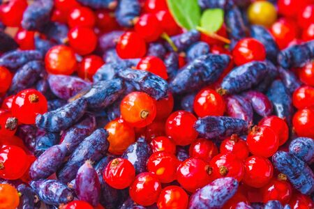 Mix, bright juicy berry. Red and blue color. Shiny surface. Freshness, natural taste. The distant plan is blurred.の写真素材