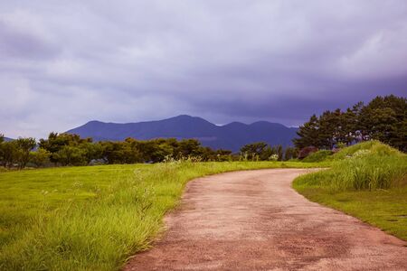 The road going into the distance. Way, hiking trip. Around the summer landscape, green grass, trees,...