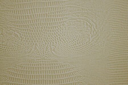 Python skin, a pattern of small cells of different sizes. Light, golden shades, matte surface. Daylight.の写真素材