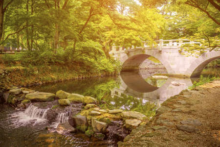 City park, silence, calm. Green area for relaxation. Gray bridge and trees are reflected in the...