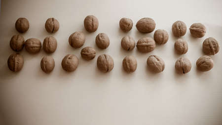 Large round walnuts, strong shell. Hard inscription on a light background. Vignetting.の写真素材
