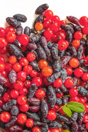 Honeysuckle and redcurrant, mix. Fresh taste, bright colors. View from above.の写真素材