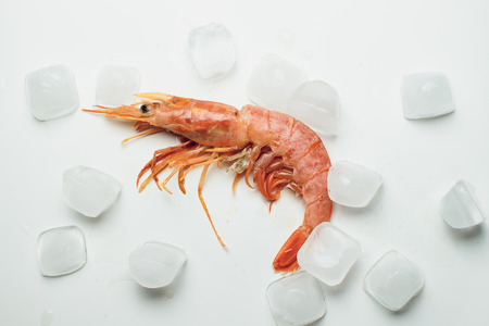 Red shrimp on a wooden board ice papper Argentinaの写真素材