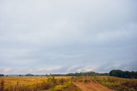autumn landscape village road yellow sky natureの写真素材