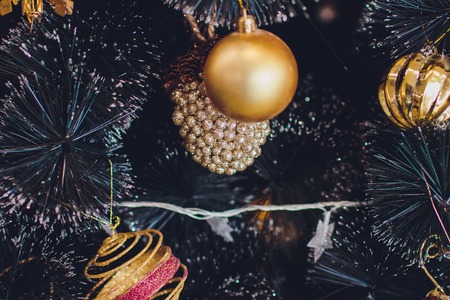 Interior Studio Christmas warm colors winter gardenの写真素材