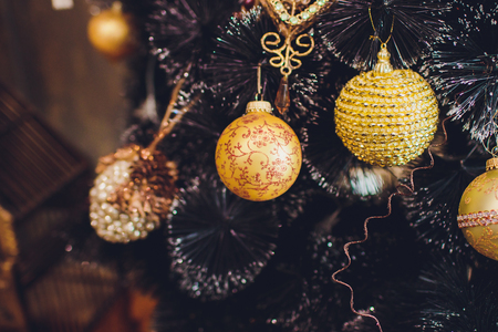 Interior Studio Christmas warm colors winter gardenの写真素材