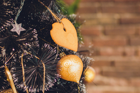 Interior Studio Christmas warm colors winter gardenの写真素材