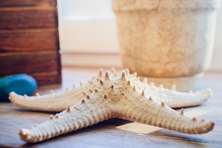 Sea sand with starfish and shellsの写真素材