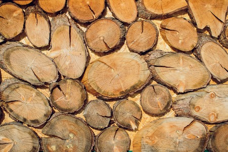 Large circular piece of wood cross section with tree ring texture pattern and cracks. Orange and black circular pattern.の写真素材