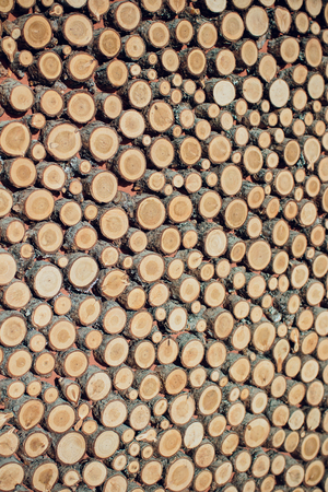 Large circular piece of wood cross section with tree ring texture pattern and cracks. Orange and black circular pattern.の写真素材
