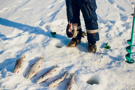 A fisherman's success on a cold winter's day on top of a frozen lake fish troutの写真素材