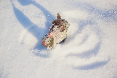 A fisherman's success on a cold winter's day on top of a frozen lake fish troutの写真素材